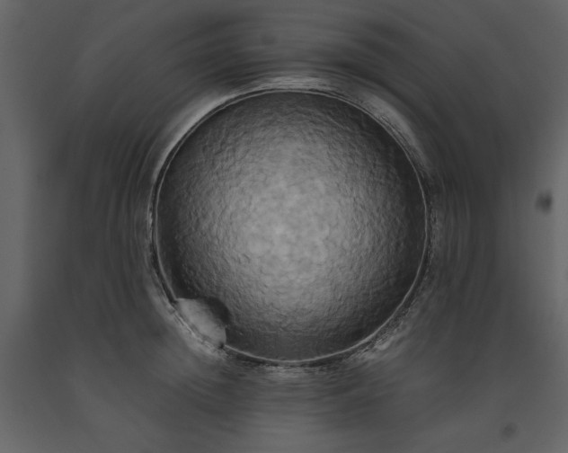X0000093610852200710221605