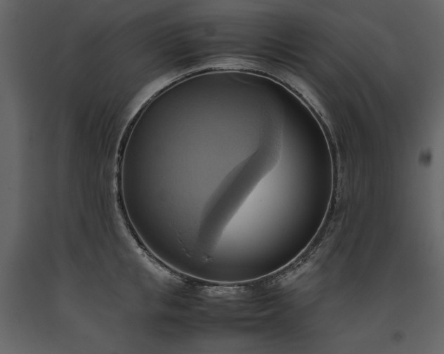 X0000093610853200710221605