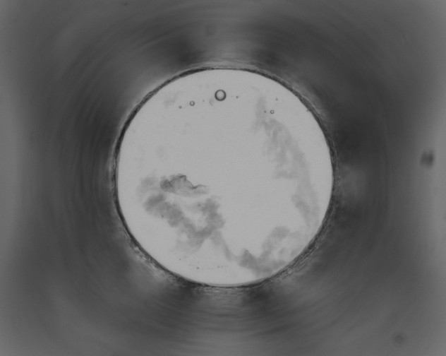 X0000093610856200710221606