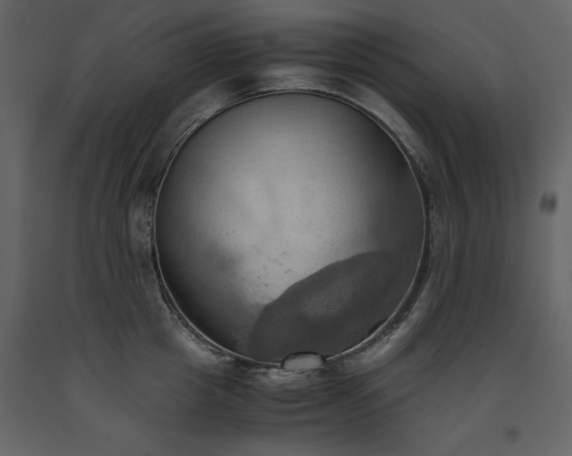 X0000093610857200710221606