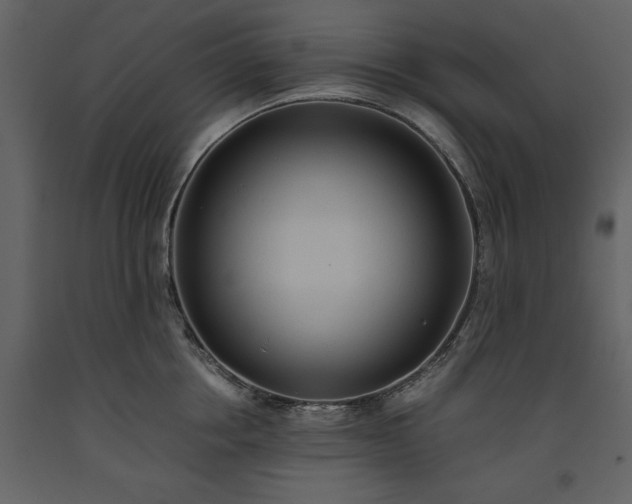 X0000093610858200710221606