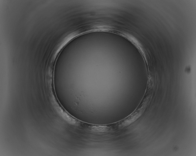 X0000093610859200710221606