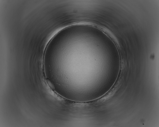 X0000093610860200710221606