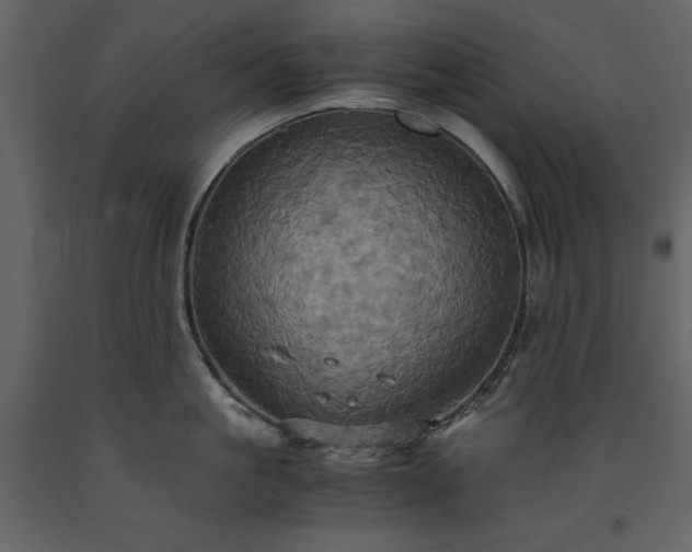 X0000093610861200710221606