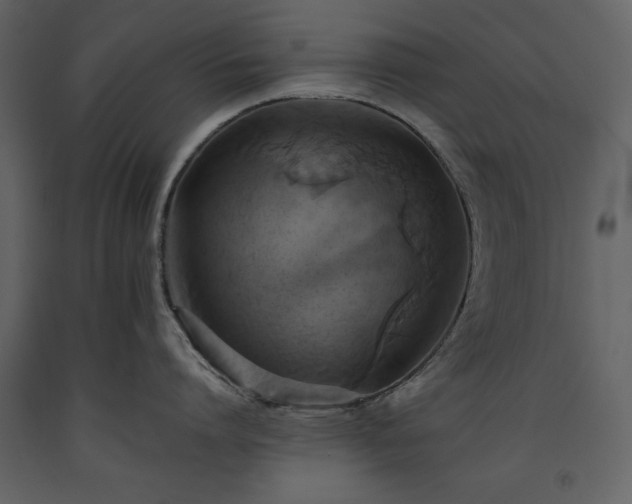 X0000093610864200710221606