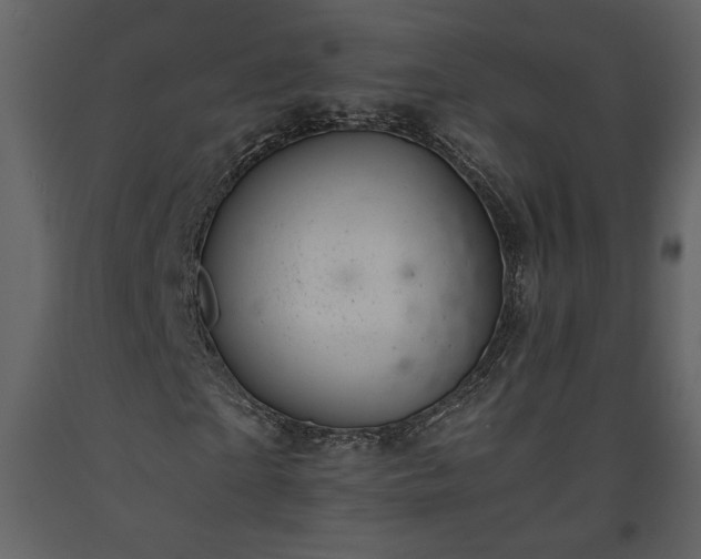 X0000093610865200710221605