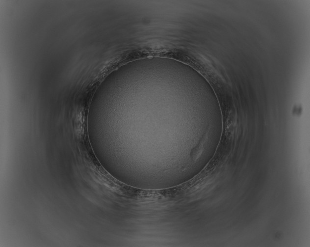X0000093610866200710221605
