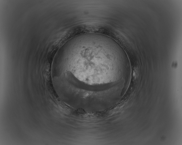 X0000093610867200710221605