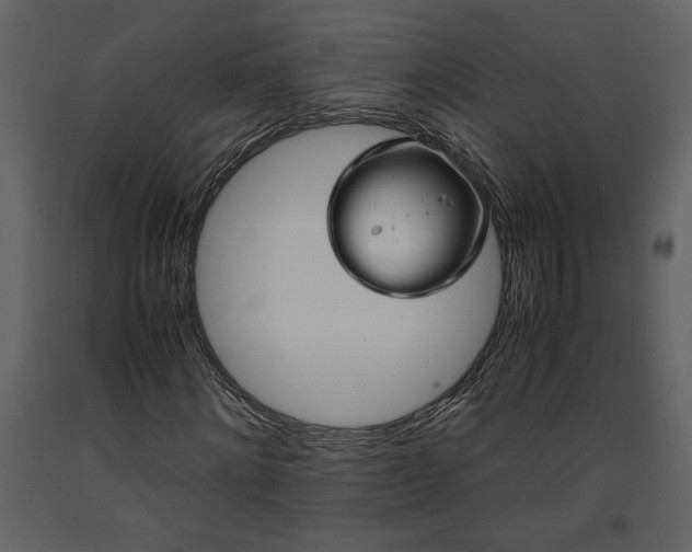 X0000093610868200710221605