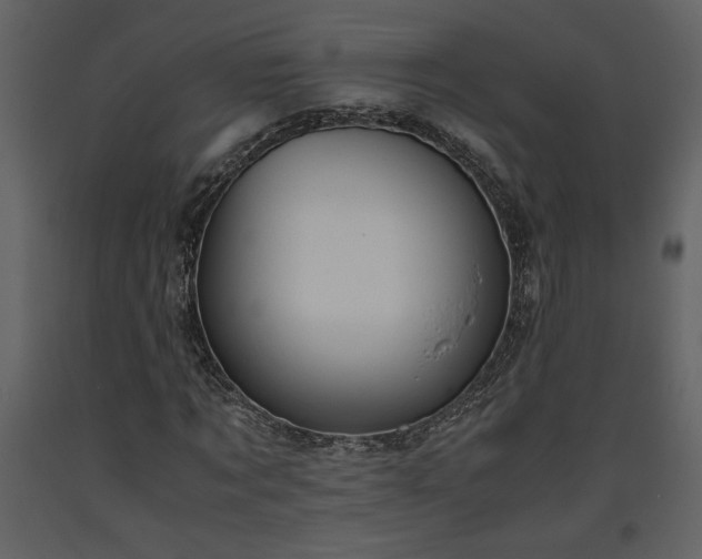 X0000093610869200710221605