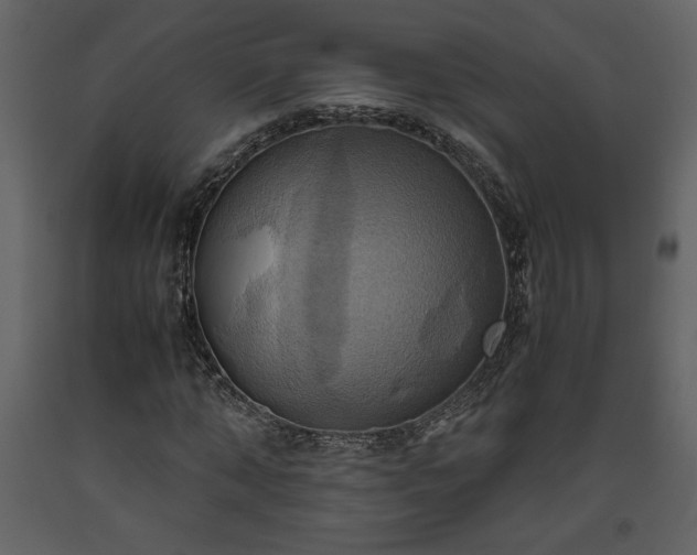 X0000093610870200710221605