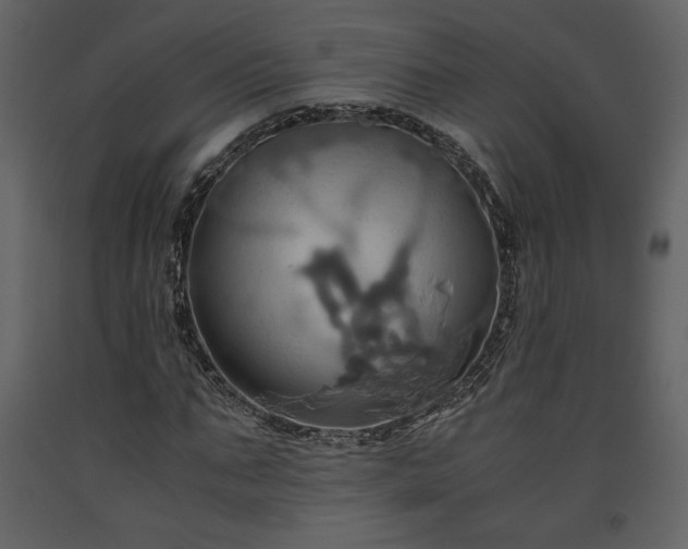 X0000093610871200710221605