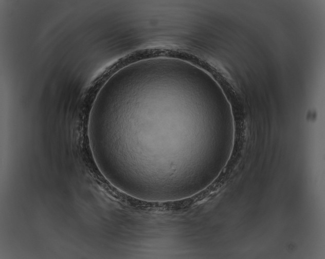 X0000093610872200710221605