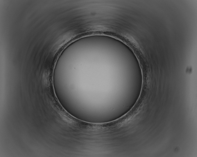 X0000093610873200710221605