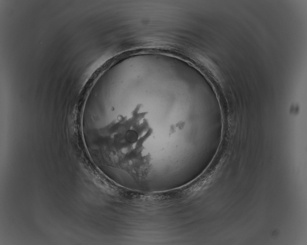 X0000093610875200710221605