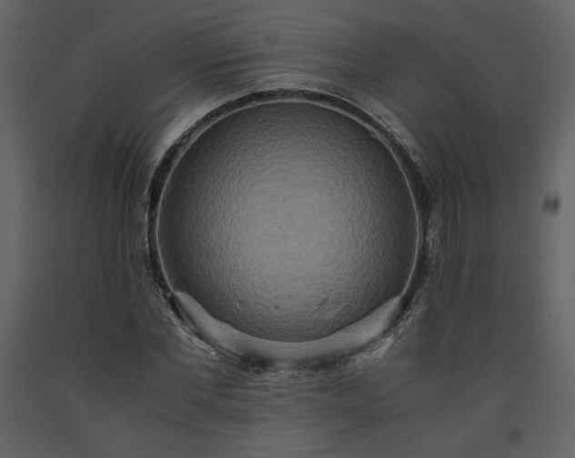 X0000093610877200710221605