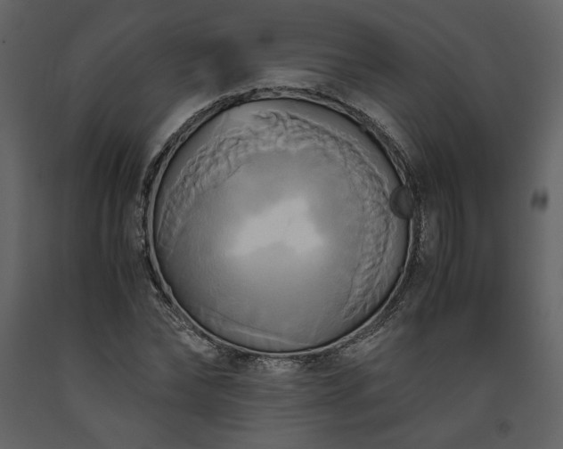 X0000093610878200710221605