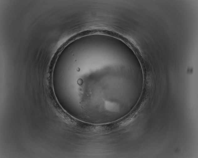 X0000093610879200710221605