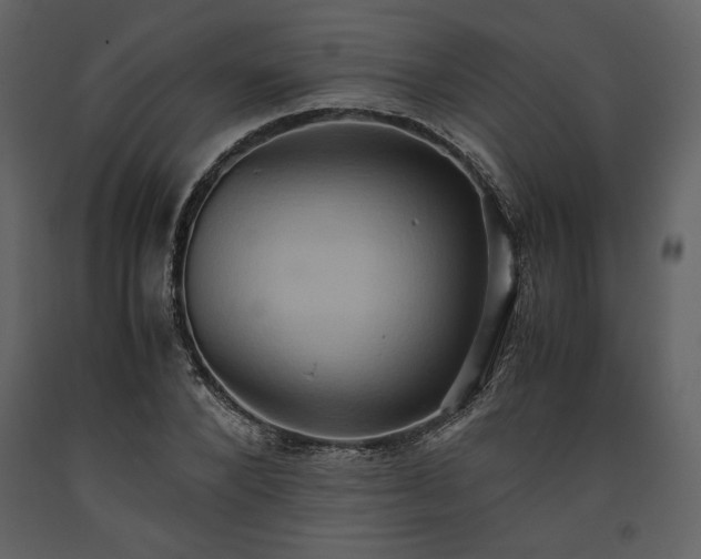 X0000093610880200710221605