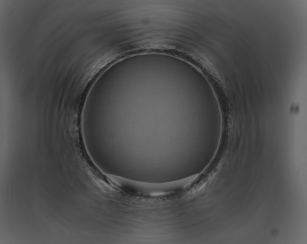 X0000093610881200710221605