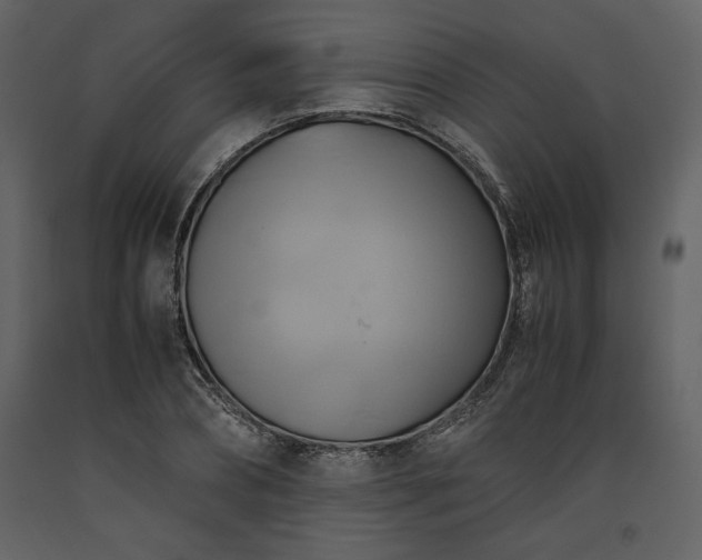 X0000093610882200710221605
