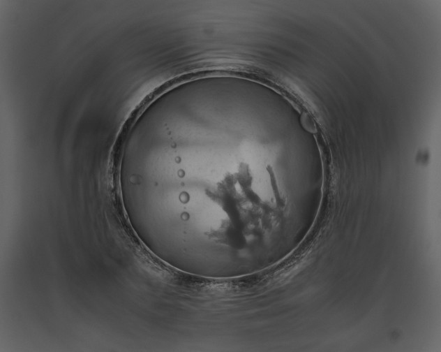 X0000093610883200710221605