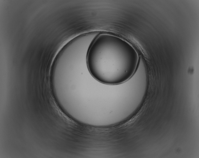 X0000093610884200710221605