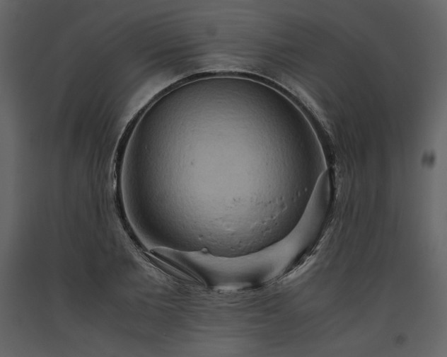 X0000093610885200710221605