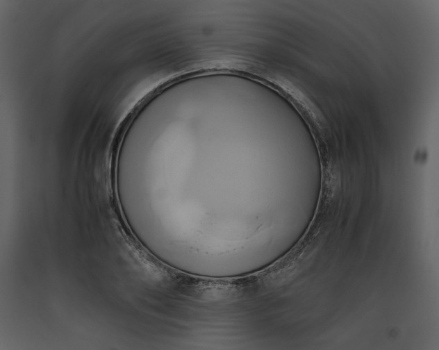X0000093610886200710221605