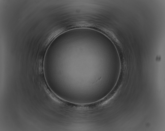 X0000093610889200710221605