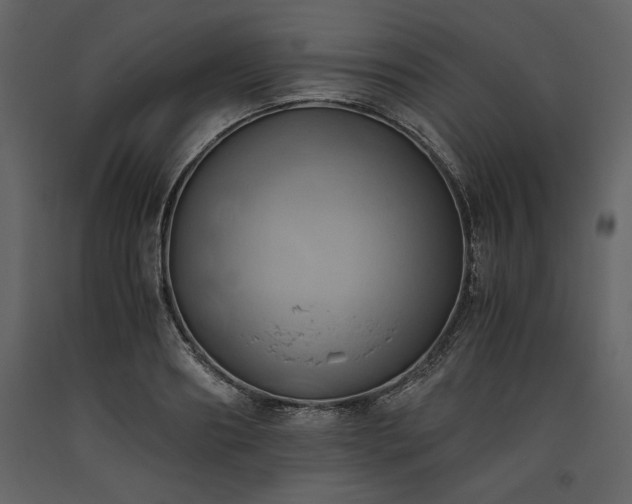 X0000093610890200710221605