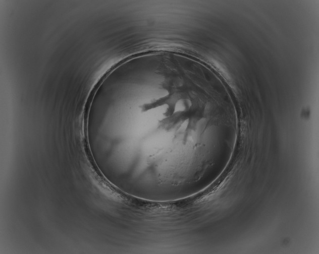 X0000093610891200710221605