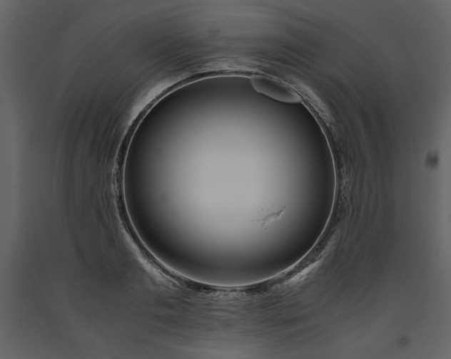 X0000093610893200710221605