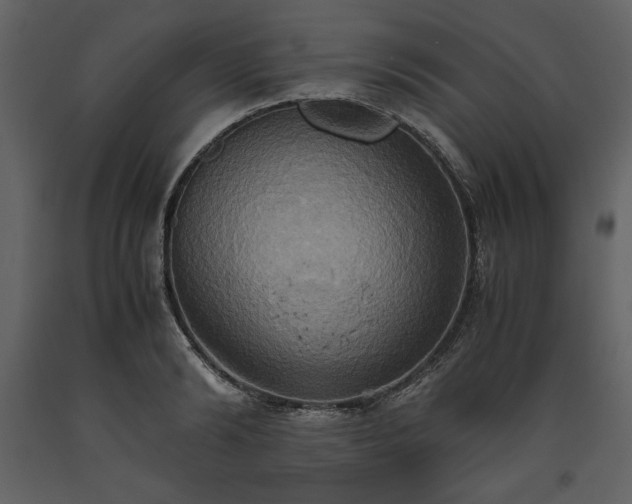 X0000093610894200710221605