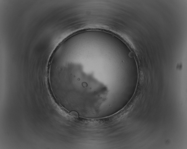 X0000093610895200710221604