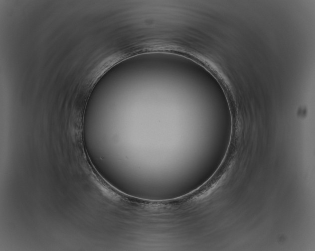 X0000093610897200710221604