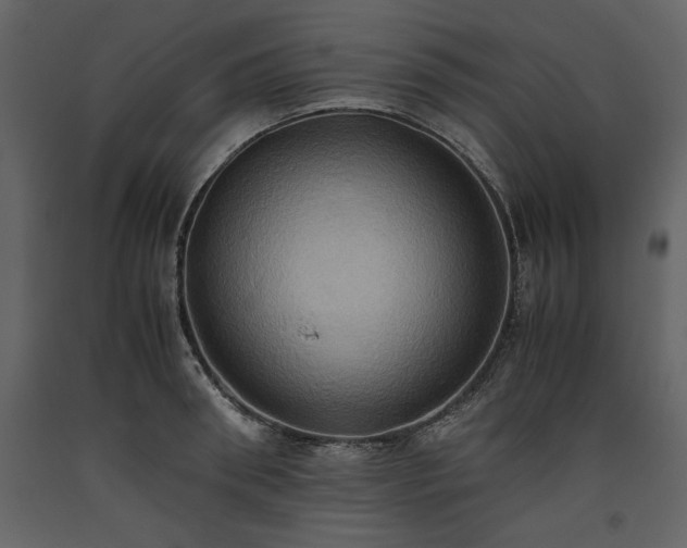 X0000093610898200710221604
