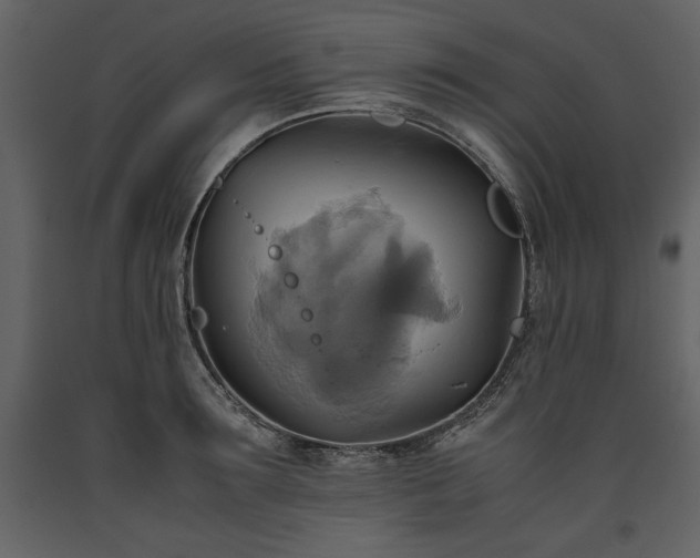 X0000093610899200710221604