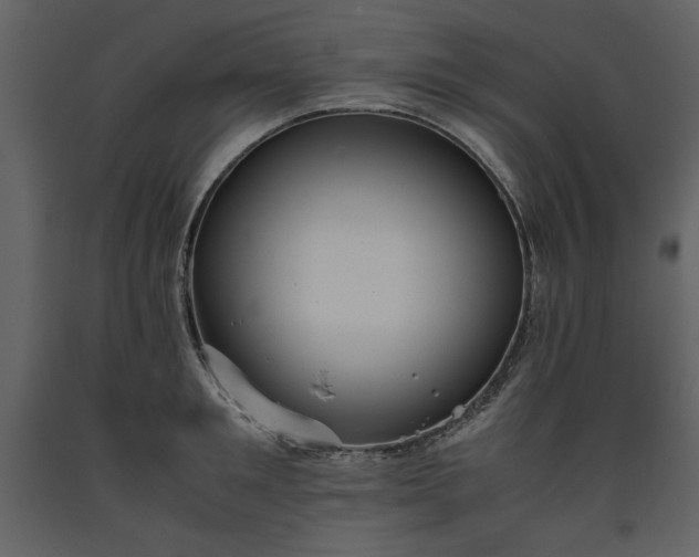 X0000093610901200710221604