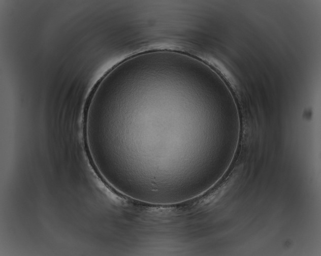 X0000093610902200710221604