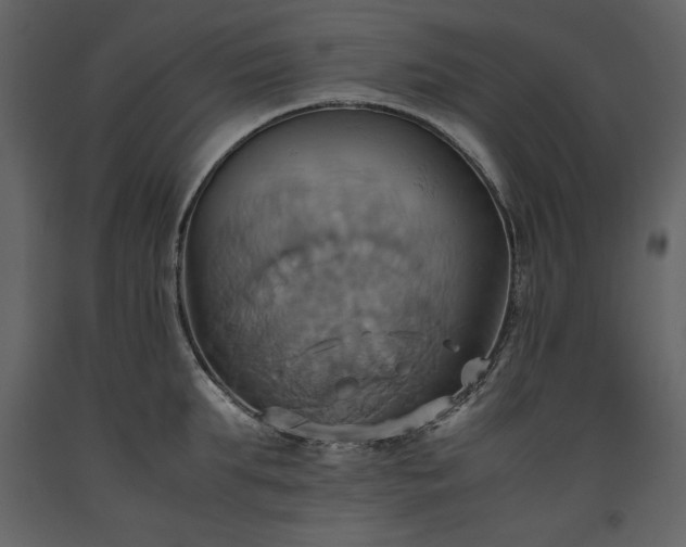 X0000093610903200710221604
