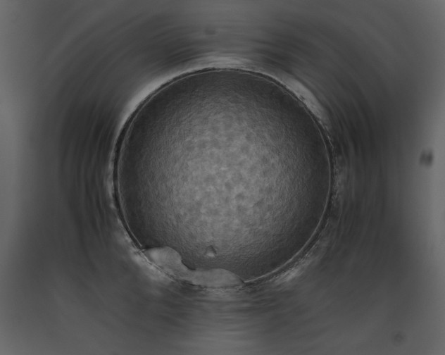 X0000093610904200710221604