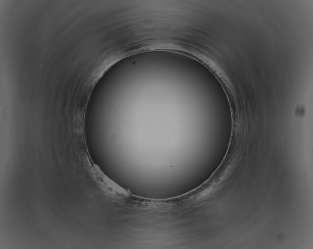 X0000093610905200710221604