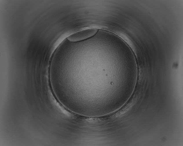 X0000093610906200710221604