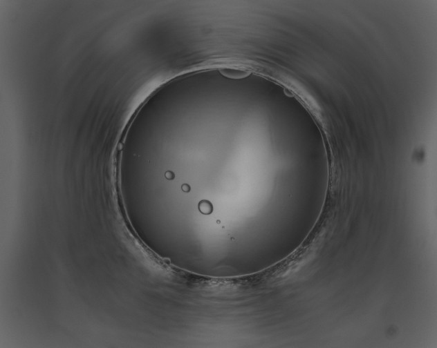 X0000093610907200710221604