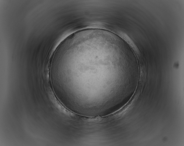 X0000093610908200710221604