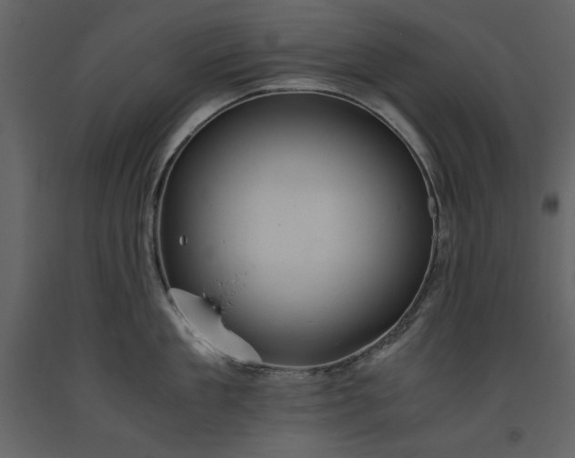 X0000093610909200710221604