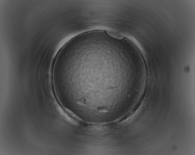 X0000093610910200710221604