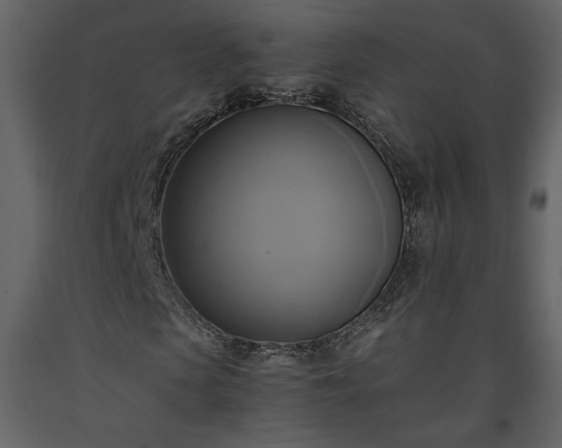 X0000093610913200710221604