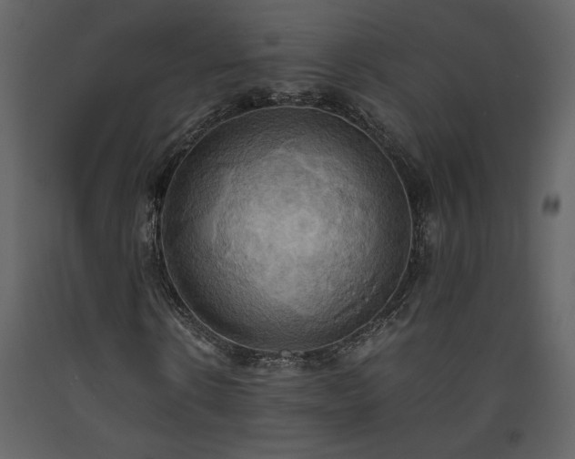X0000093610914200710221604